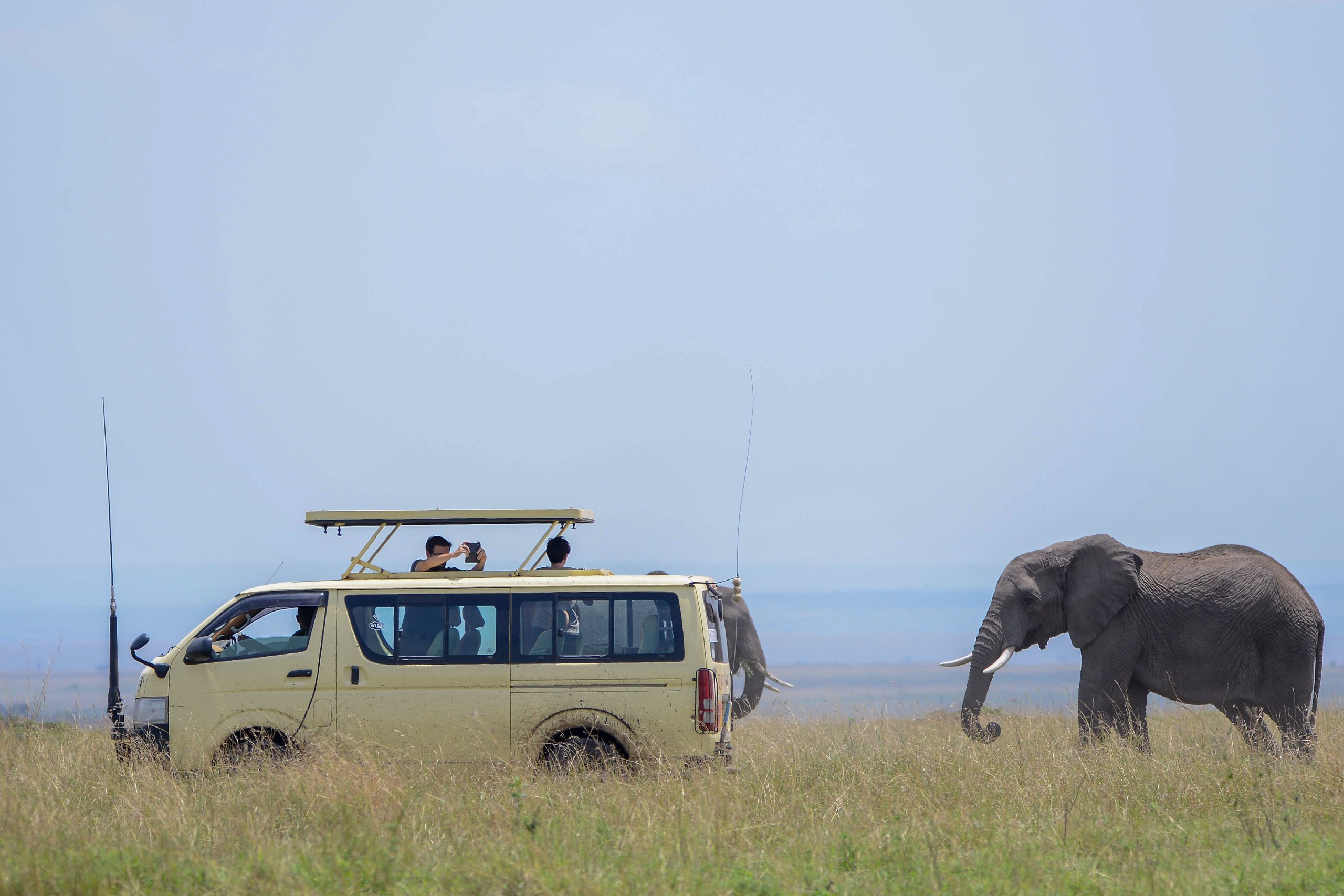 Safari Minivan Hire in Uganda To queen Elizabeth National Park to see the Elephants 
