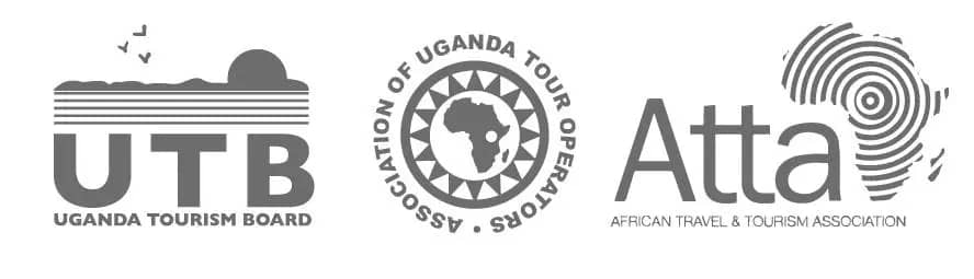 the best airport transfer to any part of Uganda