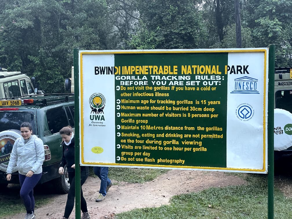 Bwindi Impenetrable Safari