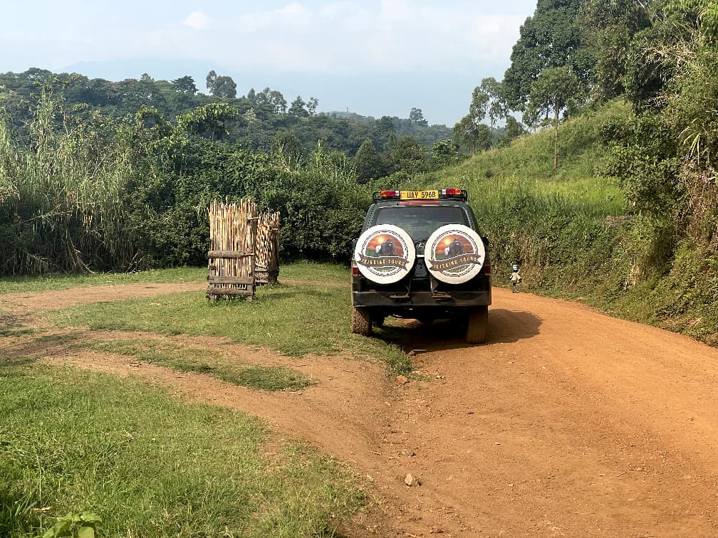 taking you in to the wild. through self drive