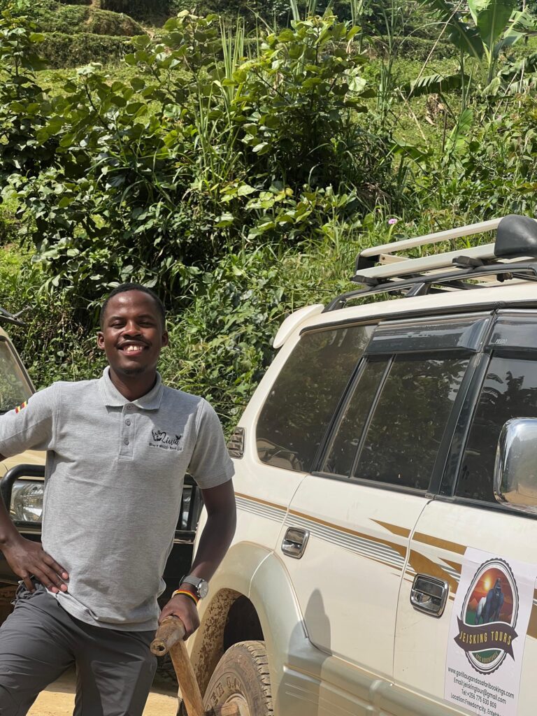 9 Days Uganda Wildlife & Gorilla Safari: trek gorillas, track chimps, explore Murchison Falls & Queen Elizabeth. Book your adventure now!