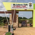 Hire a 4x4 Safari Car in Uganda