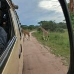 Safari Van Hire Uganda