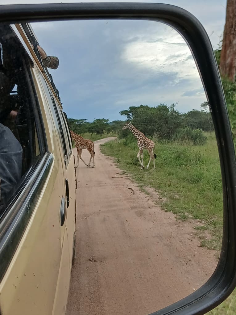 Safari Van Hire Uganda