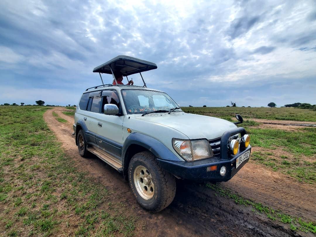 safari car rental